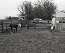 Negative, Sheet Film