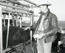 Negative, Sheet Film