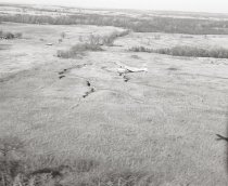 Negative, Sheet Film