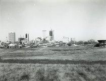 Negative, Sheet Film