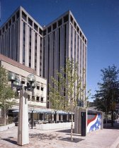 Negative, Sheet Film