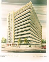 Negative, Sheet Film