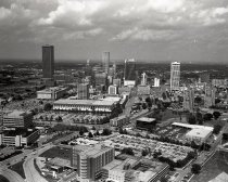 Negative, Sheet Film