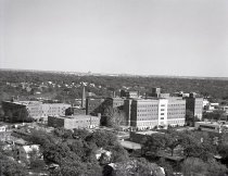 Negative, Sheet Film