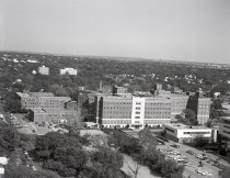 Negative, Sheet Film