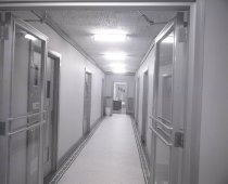 Negative, Sheet Film