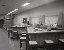 Negative, Sheet Film