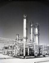 Negative, Sheet Film