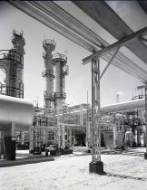 Negative, Sheet Film