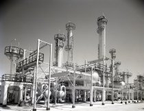 Negative, Sheet Film