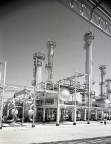 Negative, Sheet Film