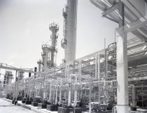 Negative, Sheet Film