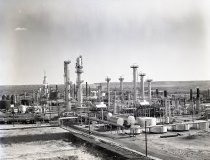 Negative, Sheet Film