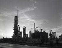 Negative, Sheet Film