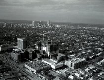 Negative, Sheet Film