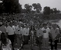 Negative, Sheet Film