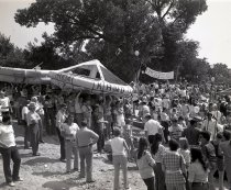 Negative, Sheet Film