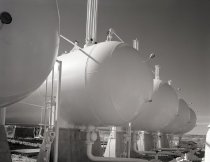 Negative, Sheet Film