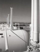 Negative, Sheet Film