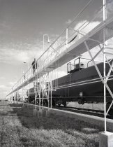 Negative, Sheet Film