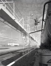 Negative, Sheet Film