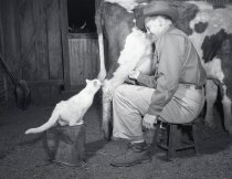 Negative, Sheet Film