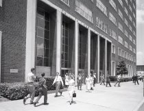 Negative, Sheet Film