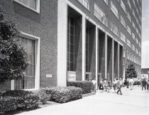 Negative, Sheet Film