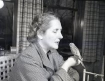 Negative, Sheet Film