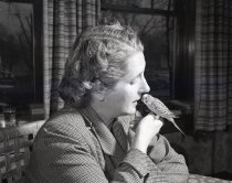 Negative, Sheet Film