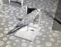 Negative, Sheet Film