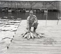 Negative, Sheet Film