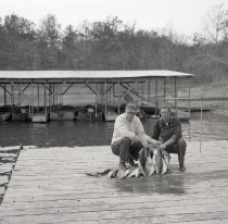 Negative, Sheet Film