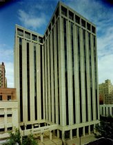 Negative, Sheet Film