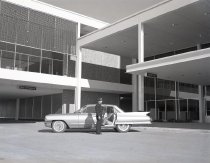 Negative, Sheet Film