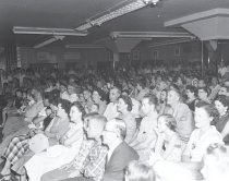 Negative, Sheet Film