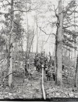 Negative, Sheet Film