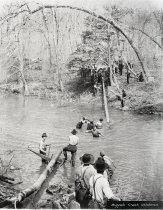 Negative, Sheet Film