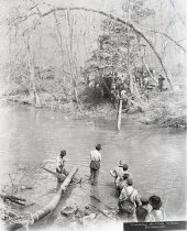 Negative, Sheet Film