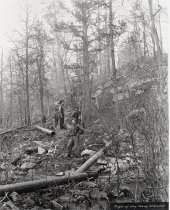 Negative, Sheet Film