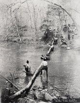 Negative, Sheet Film