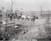 Negative, Sheet Film