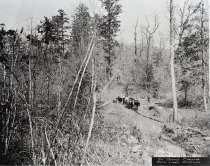 Negative, Sheet Film