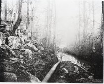 Negative, Sheet Film