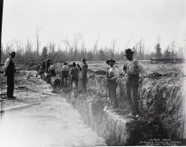 Negative, Sheet Film