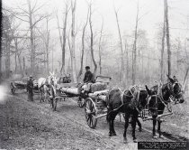 Negative, Sheet Film