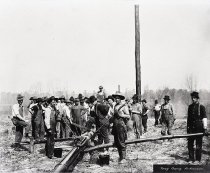 Negative, Sheet Film