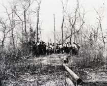 Negative, Sheet Film