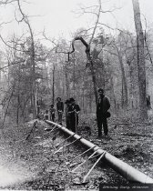 Negative, Sheet Film