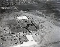 Negative, Sheet Film